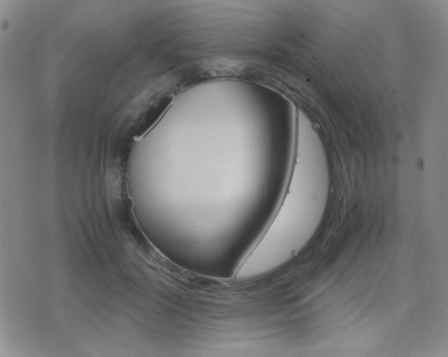 X0000077390604200610201016