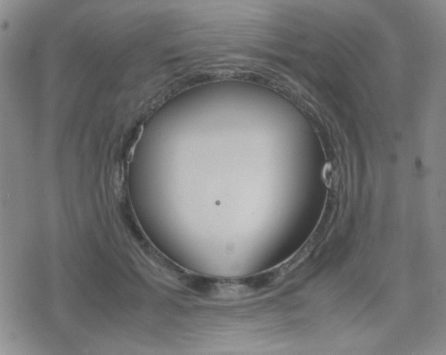 X0000077390605200610201016