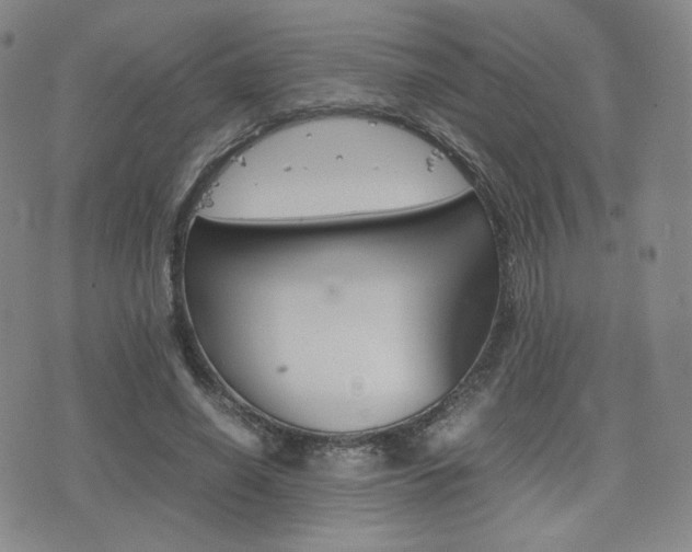 X0000077390638200610201016