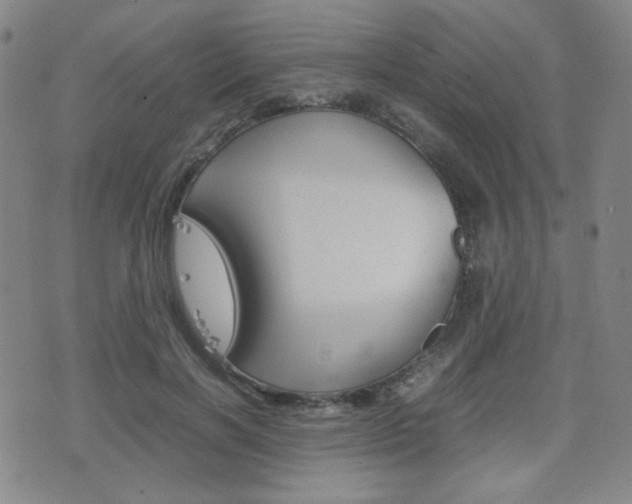 X0000077390646200610201016
