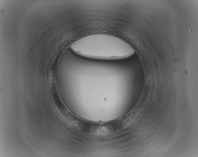 X0000077390647200610201016