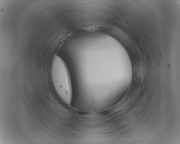 X0000077390652200610201016