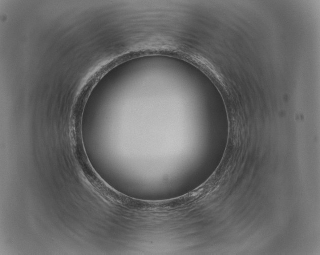 X0000077390680200610201015