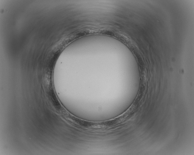 X0000077390691200610201015
