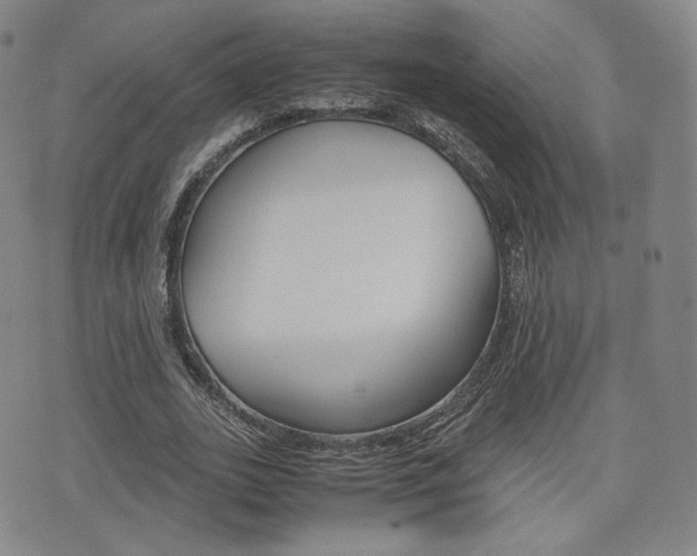 X0000077390727200610201014