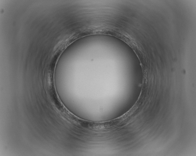 X0000077390740200610201014