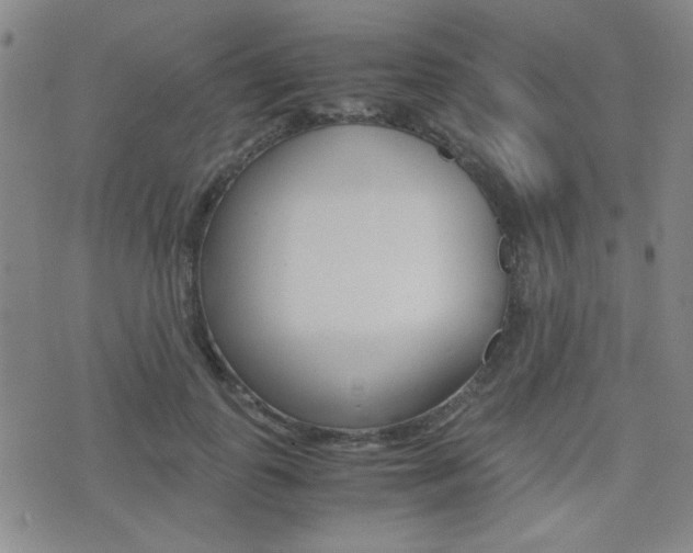 X0000077390747200610201014