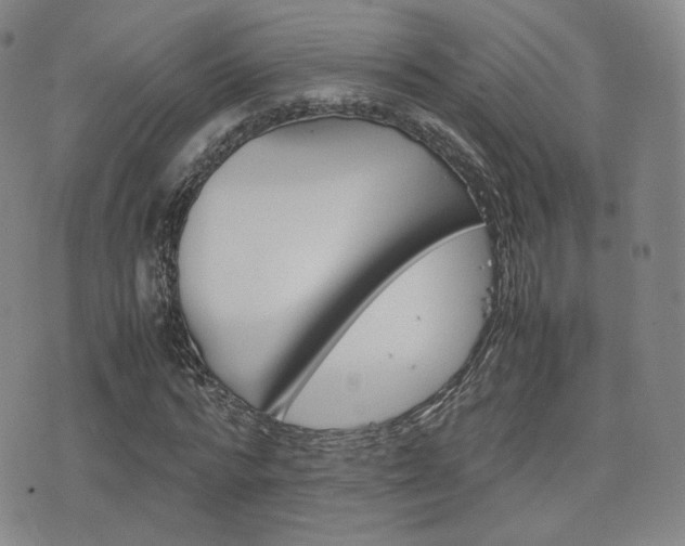 X0000077390776200610201014