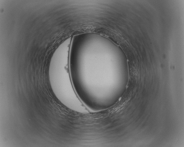 X0000077390818200610201012