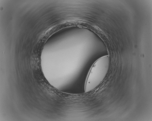 X0000077390822200610201012