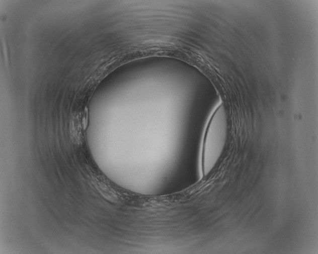 X0000077390868200610201012