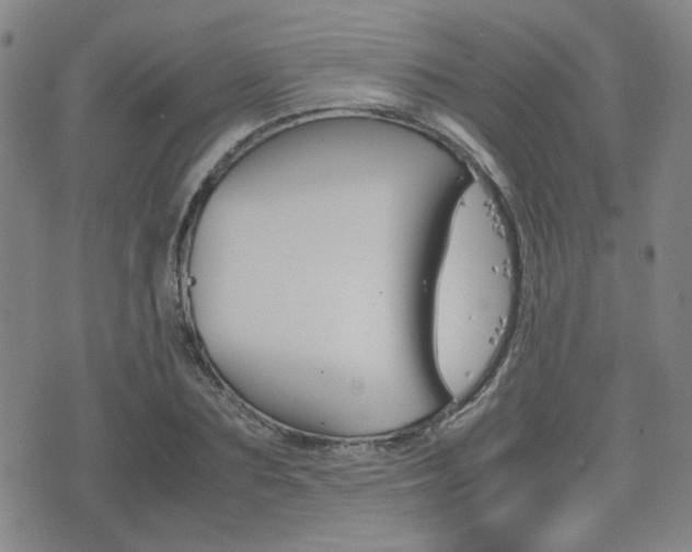 X0000077390883200610201012