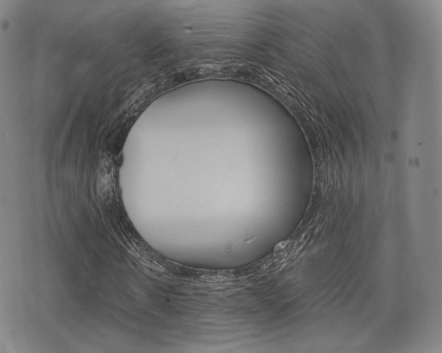 X0000077390914200610201011