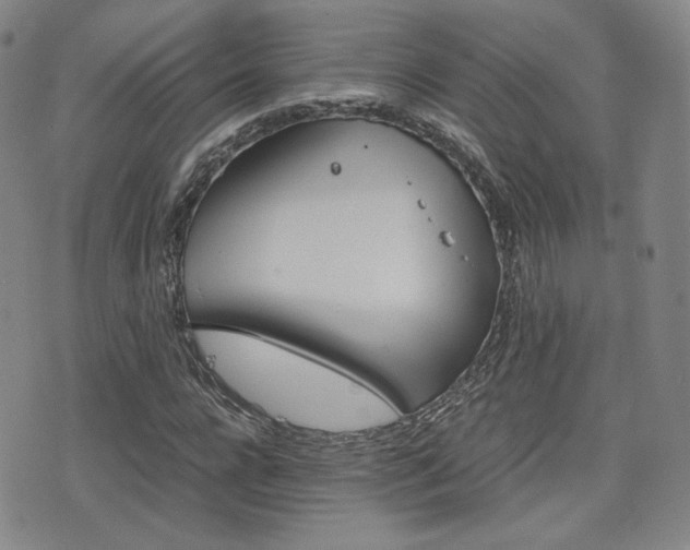 X0000077390920200610201011