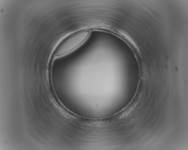 X0000077390932200610201011