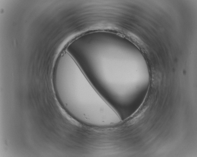 X0000077390942200610201011