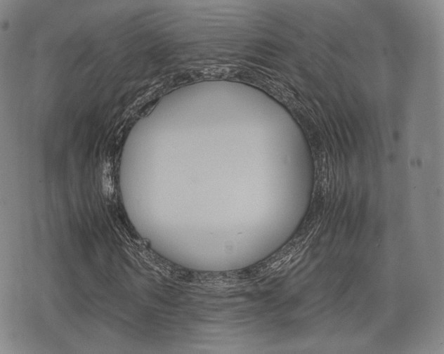 X0000077390962200610201011