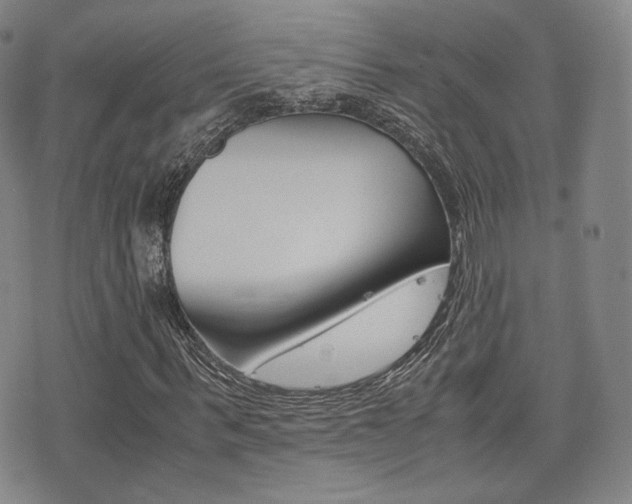 X0000077390963200610201011