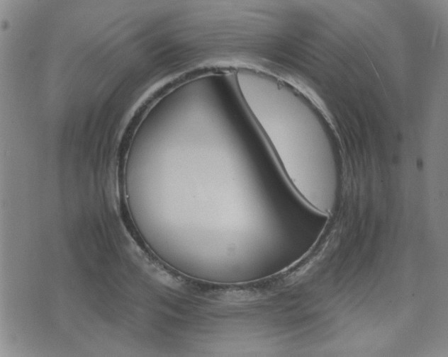 X0000077390984200610201010