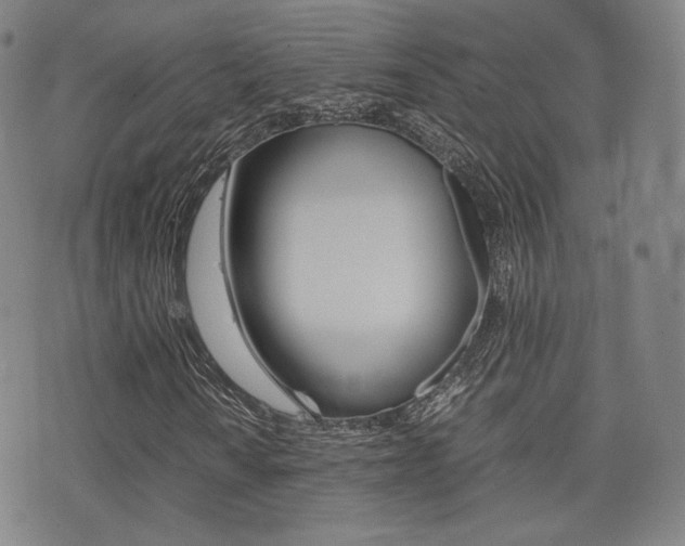 X0000077391010200610201009