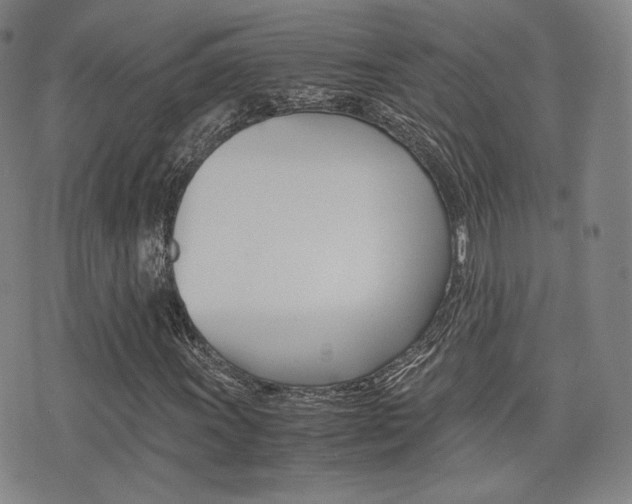 X0000077391011200610201009