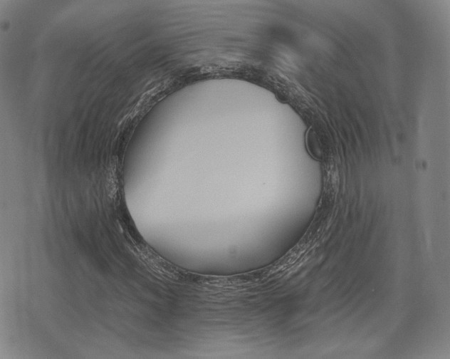 X0000077391012200610201009