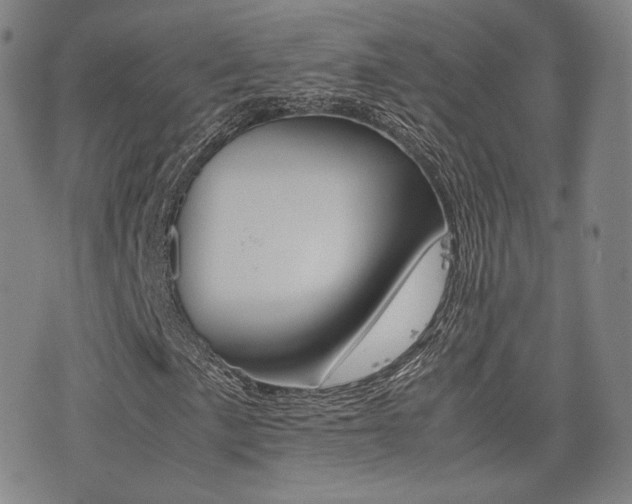 X0000077391057200610201009