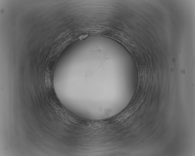 X0000077391058200610201009