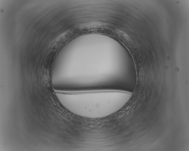 X0000077391062200610201009
