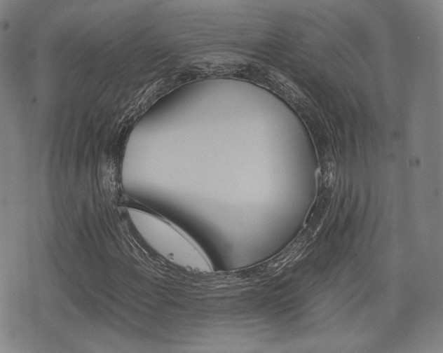 X0000077391108200610201008