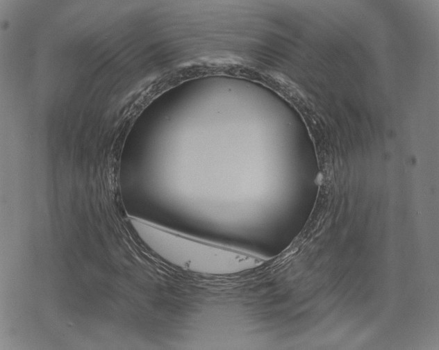 X0000077391110200610201008