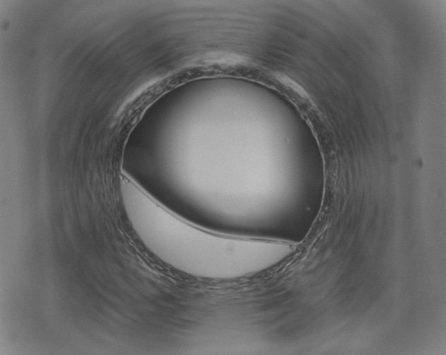 X0000077391112200610201008