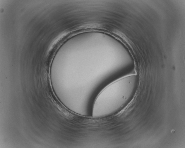 X0000077391115200610201008