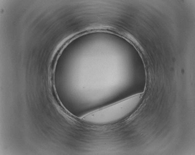 X0000077391124200610201008