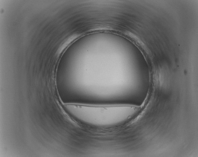 X0000077391129200610201008