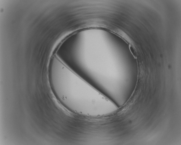 X0000077391132200610201008