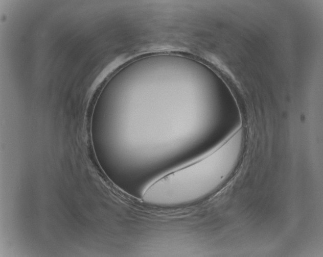 X0000077391173200610201007