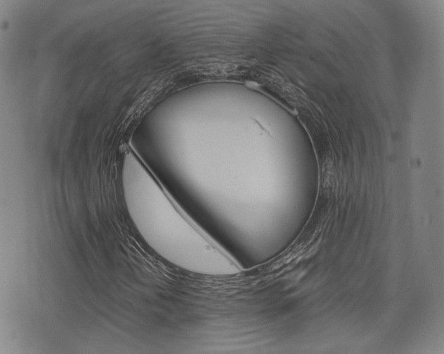 X0000077391202200610201006