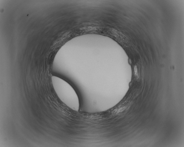 X0000077391203200610201006