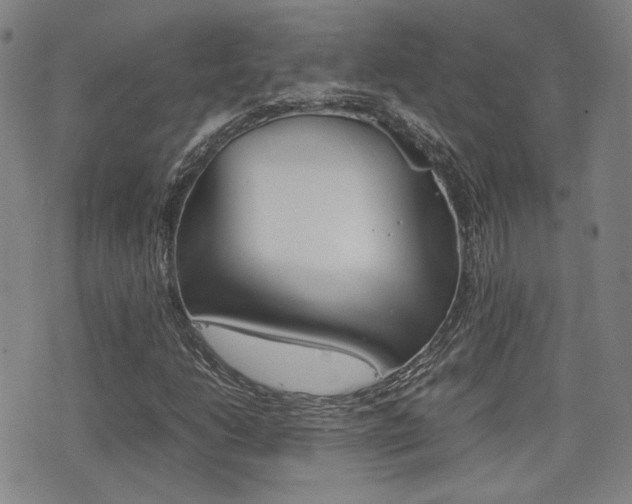 X0000077391206200610201006