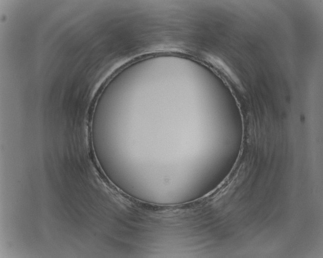 X0000077391268200610201006