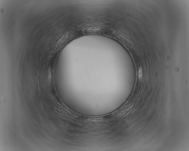 X0000077391299200610201004
