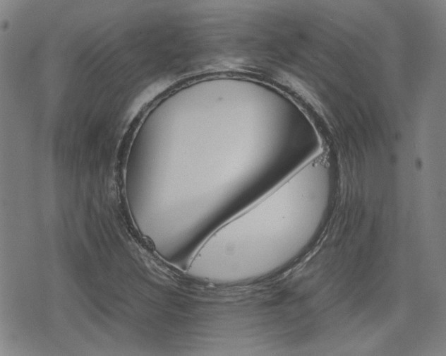 X0000077391308200610201005