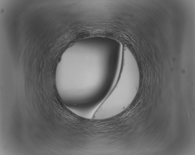 X0000077391345200610201004