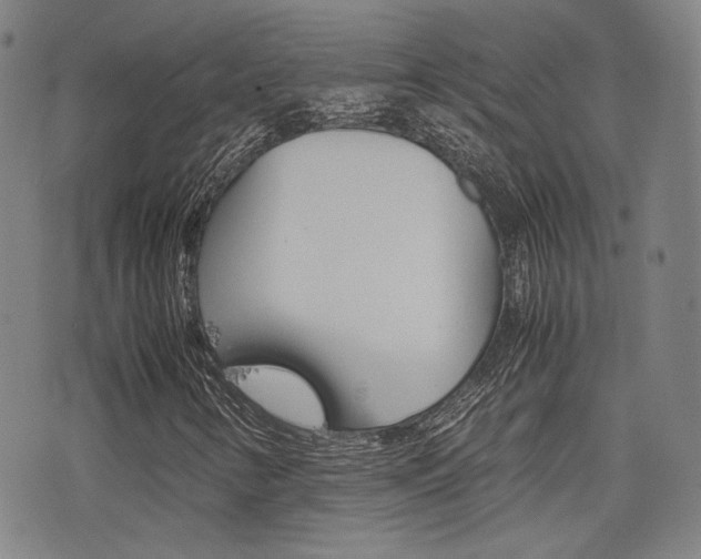 X0000077391346200610201004