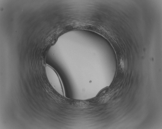 X0000077391348200610201004