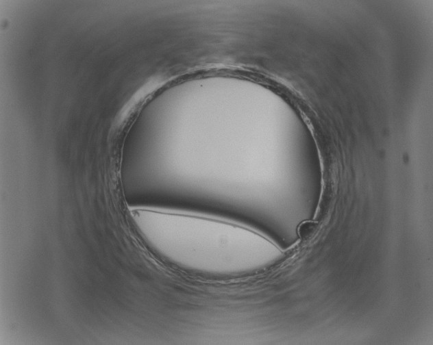 X0000077391359200610201004