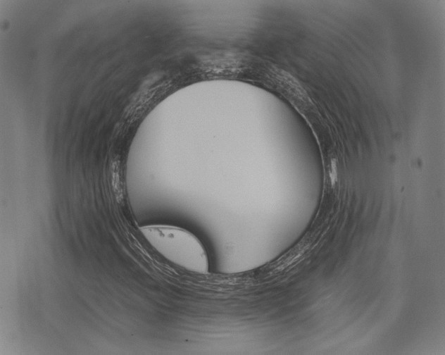 X0000077391396200610201003
