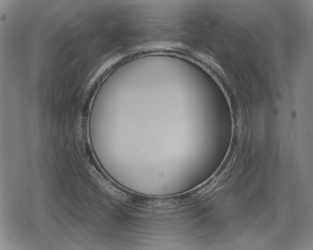 X0000077391404200610201003