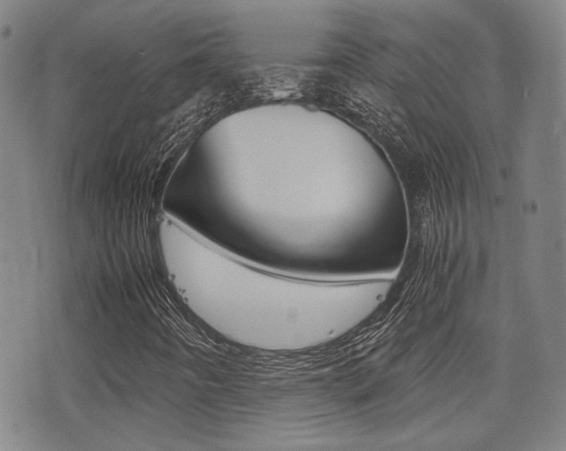 X0000077391442200610201003